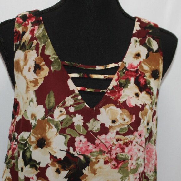 NWT Francesca's Blue Rain Floral Sleeveless V-neck Dress - Picture 2 of 14